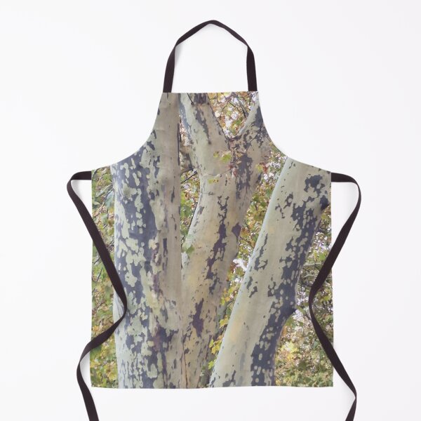 Item preview, Plane Tree Branches in Fall Canopy designed and sold by Gaboro.