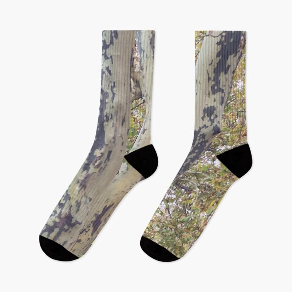 Item preview, Plane Tree Branches in Fall Canopy designed and sold by Gaboro.