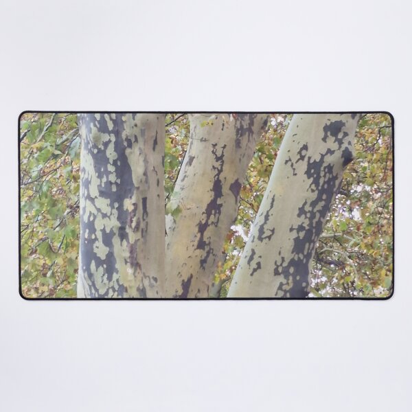 Item preview, Plane Tree Branches in Fall Canopy designed and sold by Gaboro.