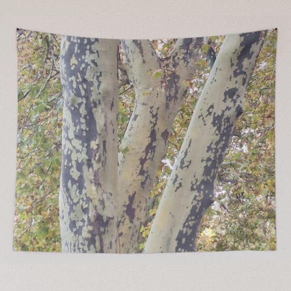 Item preview, Plane Tree Branches in Fall Canopy designed and sold by Gaboro.