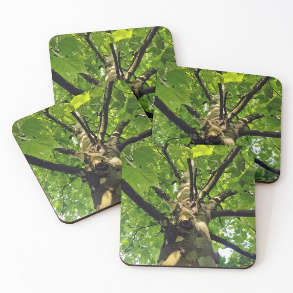 Item preview, Plane Tree - Up to the Branches  designed and sold by Gaboro.