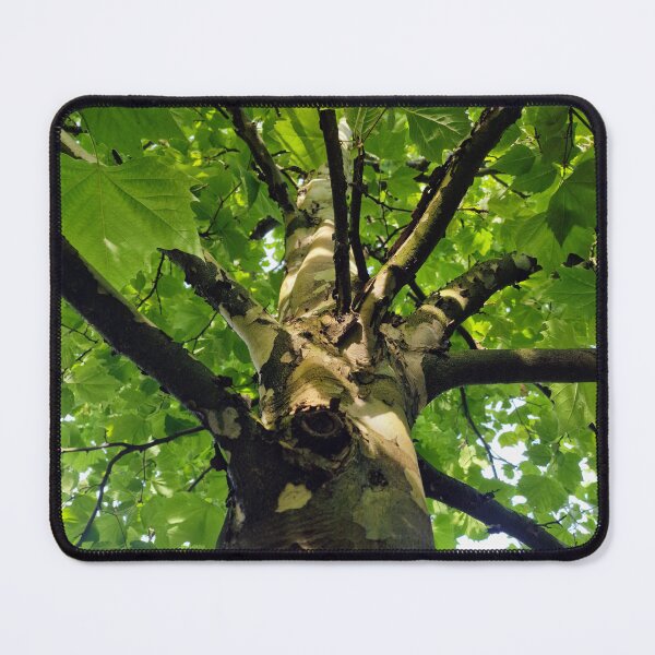 Item preview, Plane Tree - Up to the Branches  designed and sold by Gaboro.