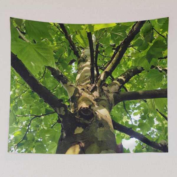 Item preview, Plane Tree - Up to the Branches  designed and sold by Gaboro.