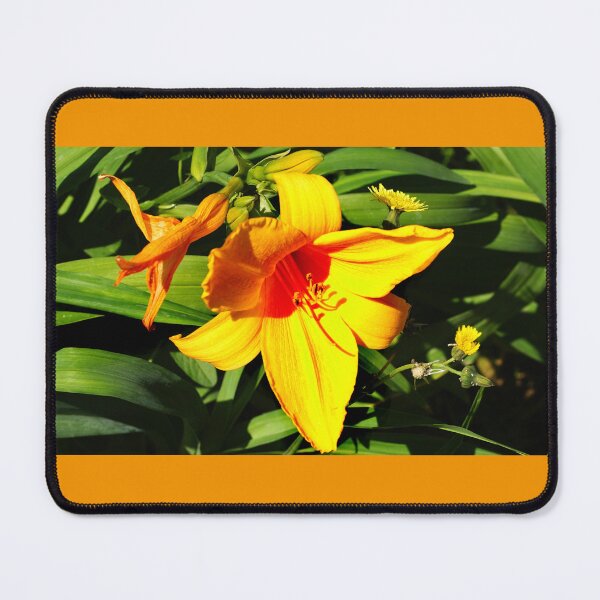 Item preview, Yellow flower designed and sold by manoloshoping.