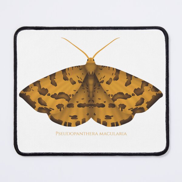 Item preview, Speckled yellow moth designed and sold by swiatek.