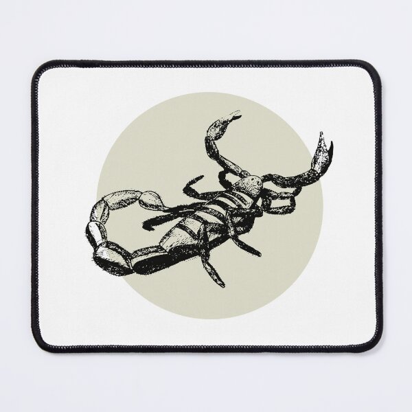 Item preview, Detailed drawing of a scorpion designed and sold by alina-k-design.