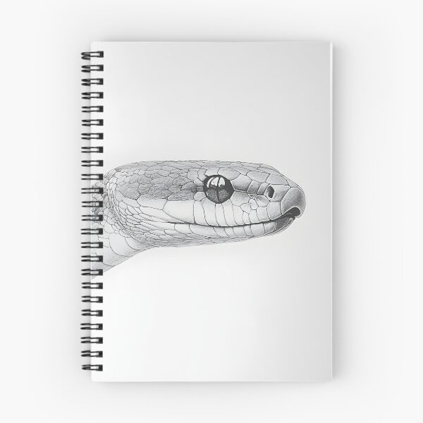 Item preview, Realistic Snake drawing designed and sold by Pencil-Art.