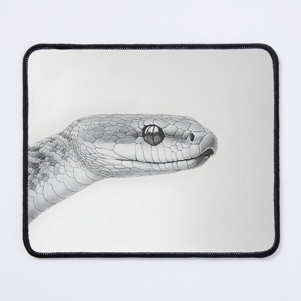Item preview, Realistic Snake drawing designed and sold by Pencil-Art.