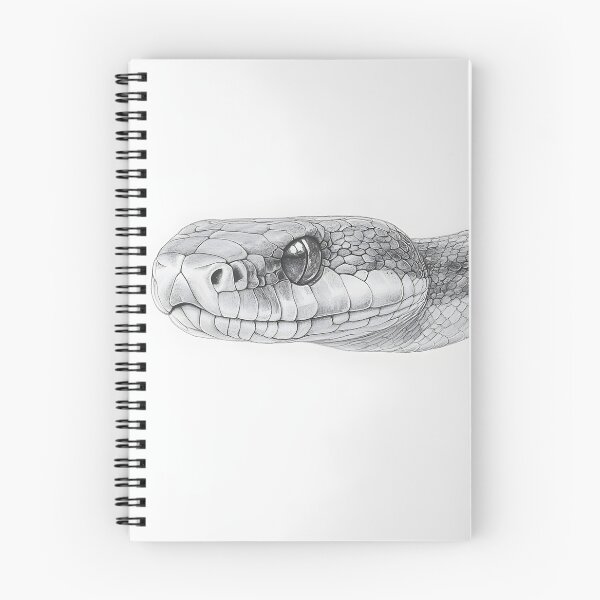 Item preview, Realistic Snake drawing designed and sold by Pencil-Art.