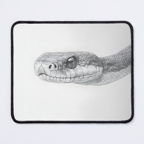 Item preview, Realistic Snake drawing designed and sold by Pencil-Art.