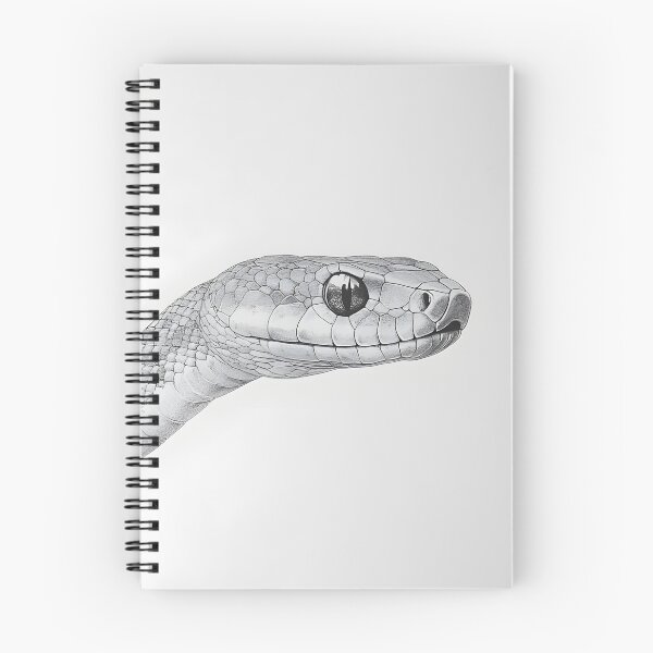 Item preview, Realistic Snake drawing designed and sold by Pencil-Art.