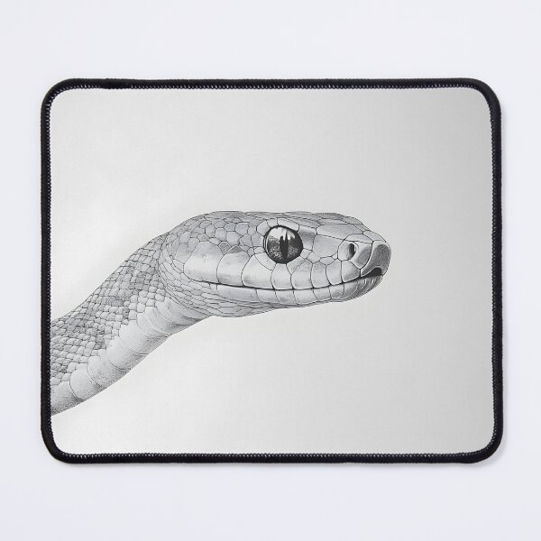 Item preview, Realistic Snake drawing designed and sold by Pencil-Art.