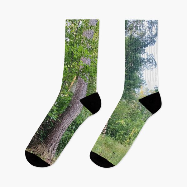 Item preview, Green Woods and Wooden Structure in Czech Countryside designed and sold by Quoppidou.