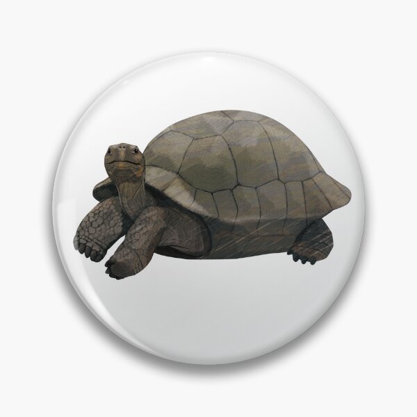 Item preview, Galapagos giant tortoise designed and sold by Rie-TortoTurtle.