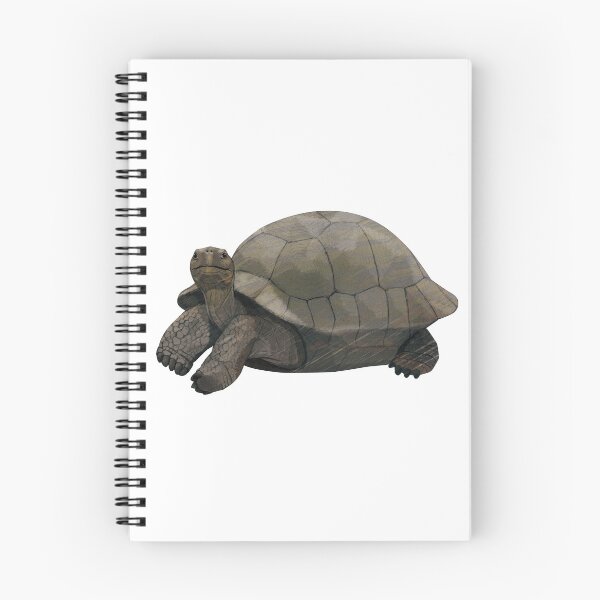 Item preview, Galapagos giant tortoise designed and sold by Rie-TortoTurtle.