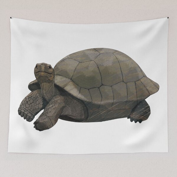 Item preview, Galapagos giant tortoise designed and sold by Rie-TortoTurtle.