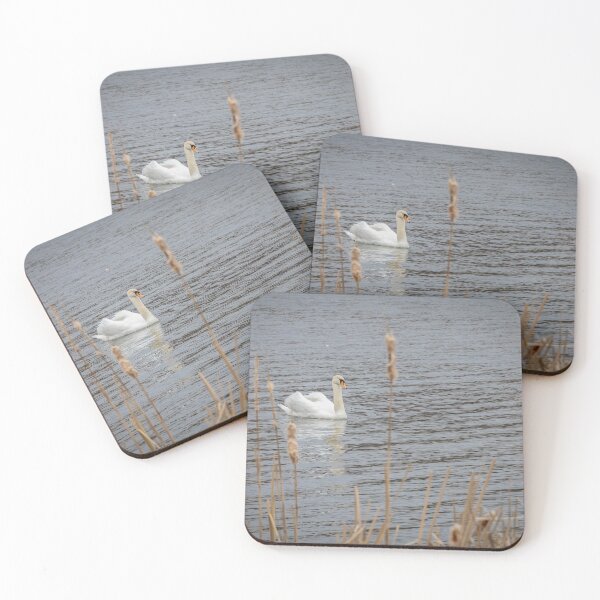Item preview, Swan at McLaughlin Bay Wildlife Reserve, Ontario designed and sold by jrtwynam.