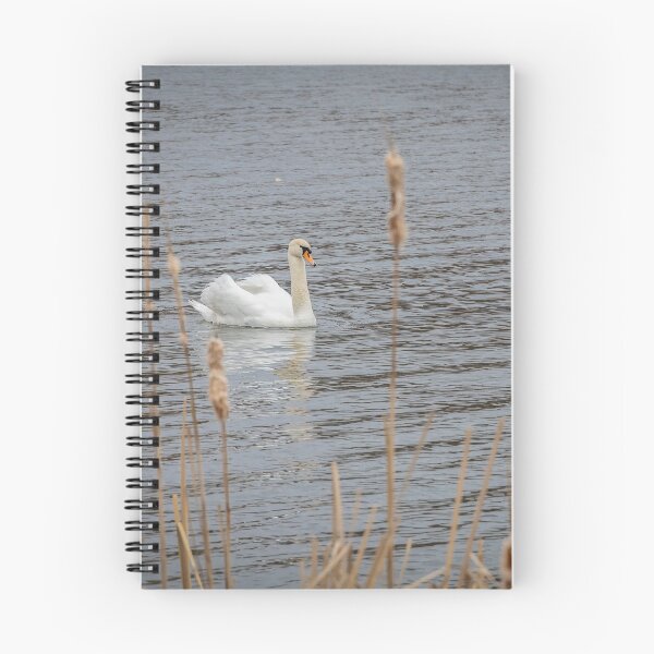 Item preview, Swan at McLaughlin Bay Wildlife Reserve, Ontario designed and sold by jrtwynam.