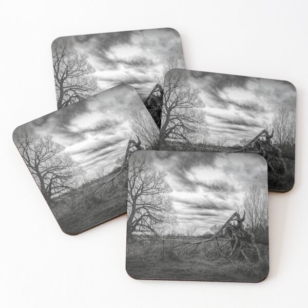 Item preview, Desolate Wasteland, McLaughlin Bay, Ontario designed and sold by jrtwynam.