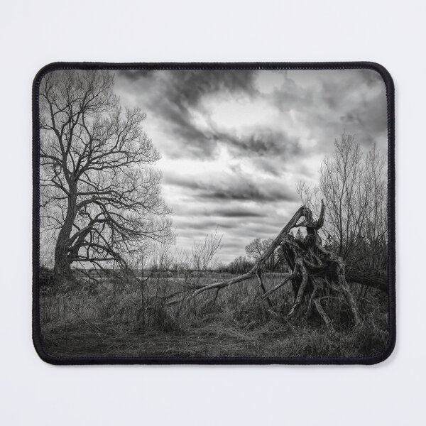 Item preview, Desolate Wasteland, McLaughlin Bay, Ontario designed and sold by jrtwynam.