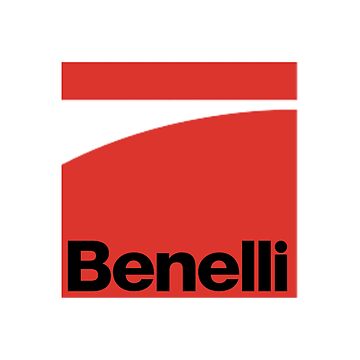Imagen de la obra benelli de PAPK