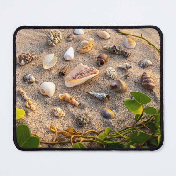 Item preview, Koh Lanta Shell Collection designed and sold by Julie Navitka.