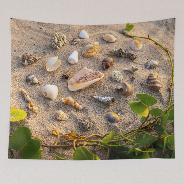 Item preview, Koh Lanta Shell Collection designed and sold by Julie Navitka.