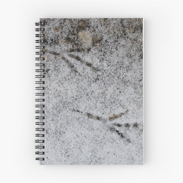 Item preview, Bird tracks  designed and sold by McFleur's Lens.