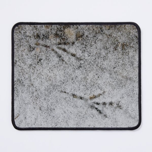 Item preview, Bird tracks designed and sold by McFleur's Lens.