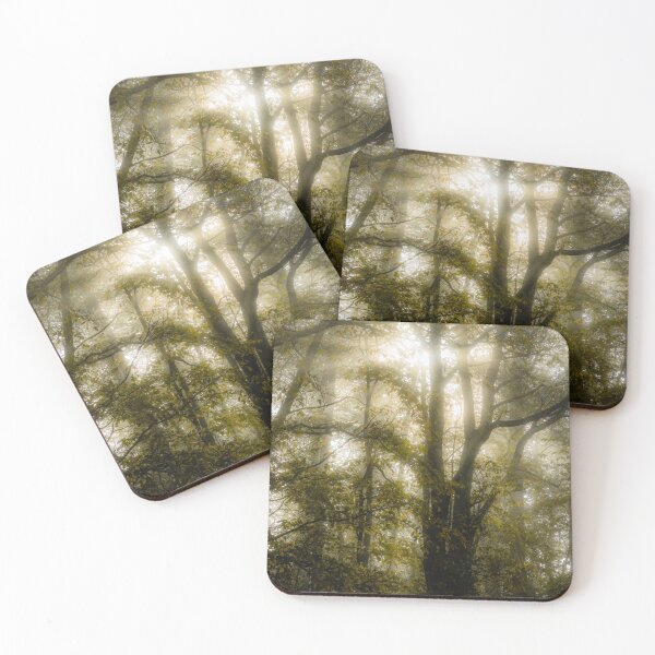 Item preview, Misty wood sunset designed and sold by Zolachrome Photography.