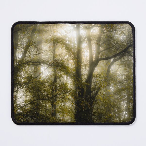 Item preview, Misty wood sunset designed and sold by Zolachrome Photography.