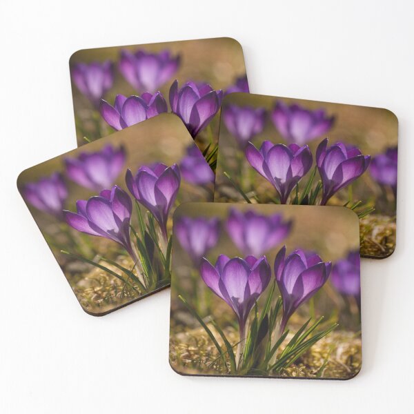 Item preview, Crocuses in blossom designed and sold by BelliCreativi.