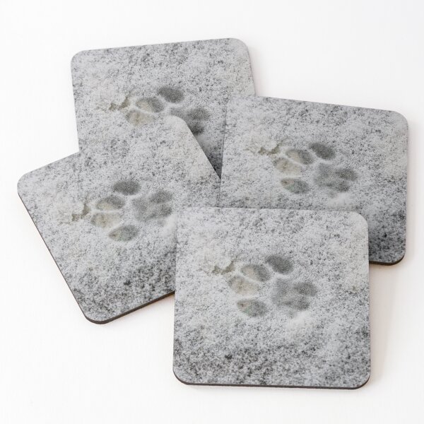 Item preview, Paw print photo  designed and sold by McFleur's Lens.