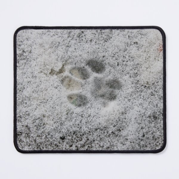 Item preview, Paw print photo  designed and sold by McFleur's Lens.