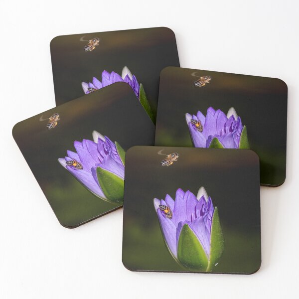 Item preview, Bees collecting pollen designed and sold by buanphoto.