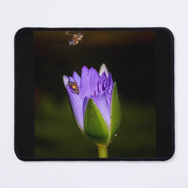 Item preview, Bees collecting pollen designed and sold by buanphoto.