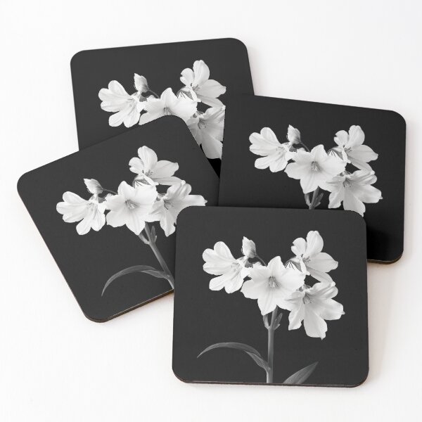 Item preview, Prímula silvestre en blanco y negro v4 designed and sold by PiranhaEatFashion.