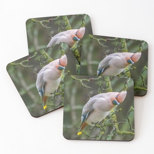 Item preview, Waxwing designed and sold by 1icreations.