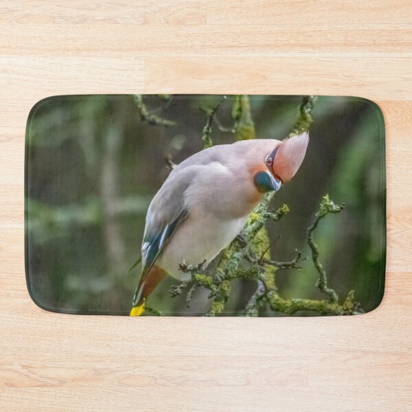 Item preview, Waxwing designed and sold by 1icreations.