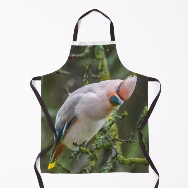 Item preview, Waxwing designed and sold by 1icreations.
