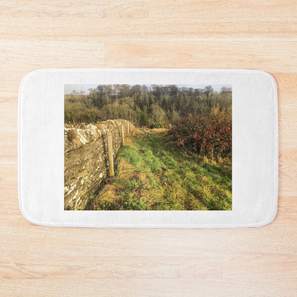 Item preview, Cotswolds dry stone wall designed and sold by Martin Fenton.