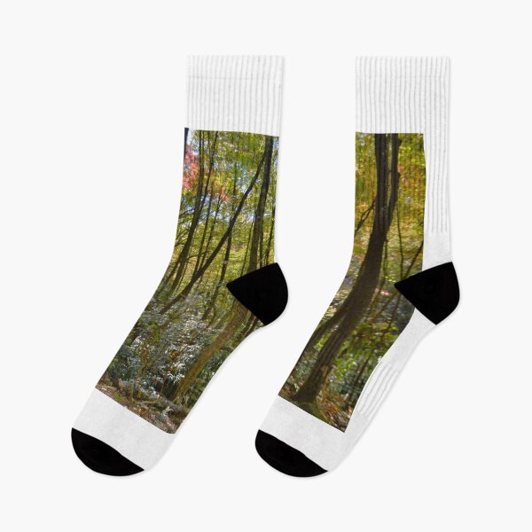 Item preview, Hiking Through Autumn designed and sold by LisaWootenPhoto.