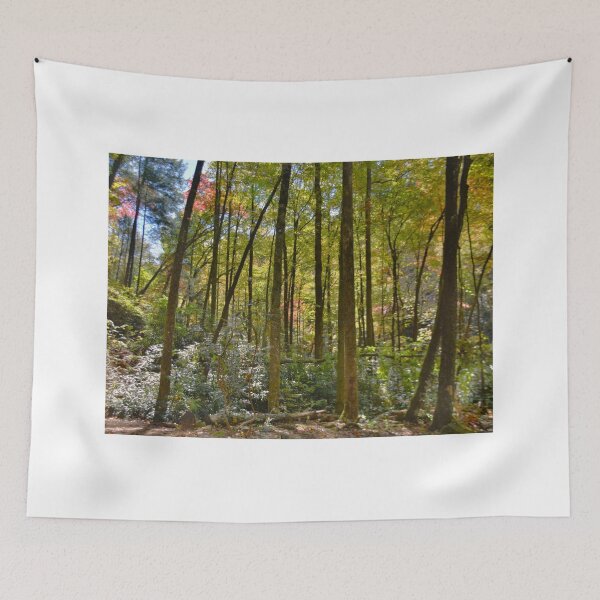 Item preview, Hiking Through Autumn designed and sold by LisaWootenPhoto.