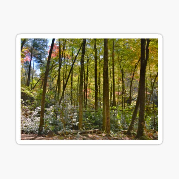 Item preview, Hiking Through Autumn designed and sold by LisaWootenPhoto.