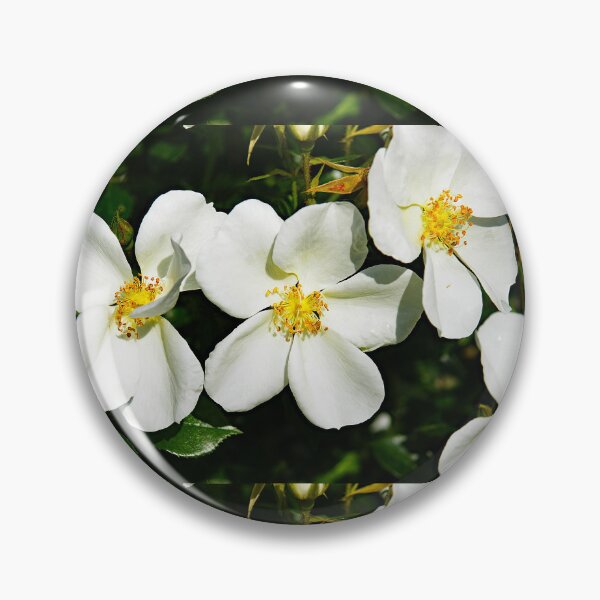 Item preview, Thorny rose or pimpernel designed and sold by manoloshoping.