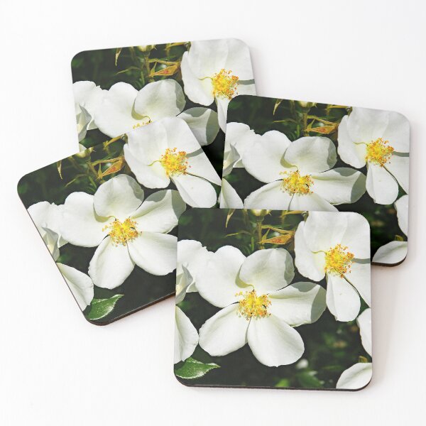 Item preview, Thorny rose or pimpernel designed and sold by manoloshoping.
