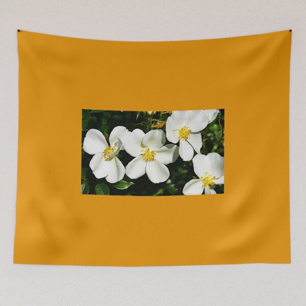 Item preview, Thorny rose or pimpernel designed and sold by manoloshoping.