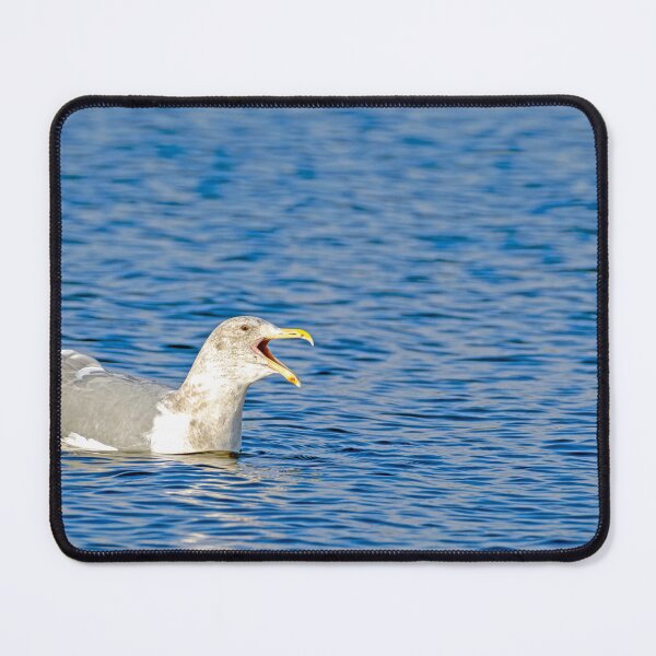 Item preview, Laughing Gull designed and sold by lisavonbiela.