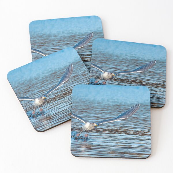 Item preview, Gull Taking Off designed and sold by lisavonbiela.
