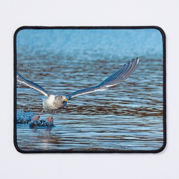 Item preview, Gull Taking Off designed and sold by lisavonbiela.